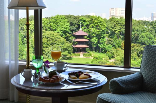 Vistas desde Hotel Chinzanso Tokyo